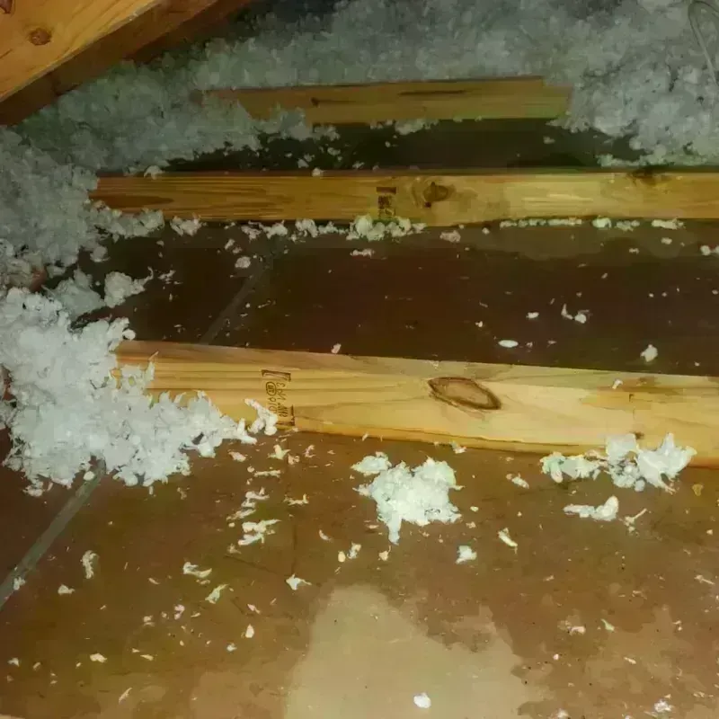 Attic Water Damage in Iota, LA