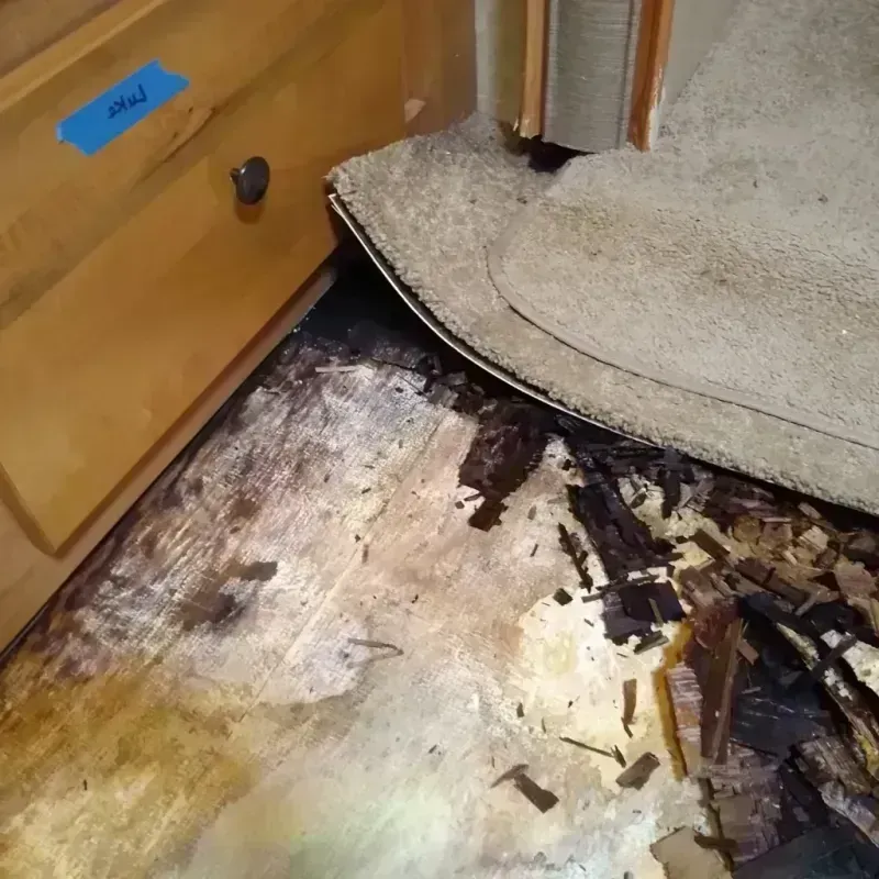 Wood Floor Water Damage in Iota, LA